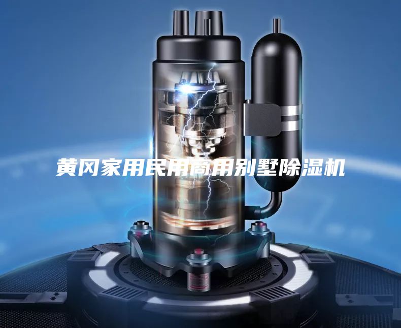 黄冈家用民用商用别墅除湿机