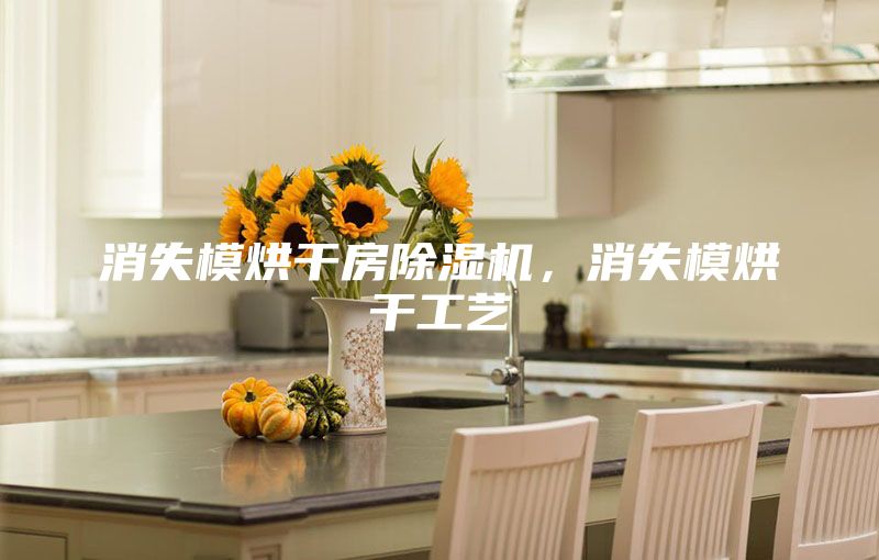 消失模烘干房除湿机，消失模烘干工艺