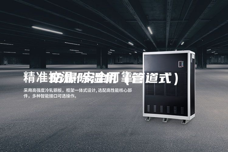 防爆除湿机（管道式）
