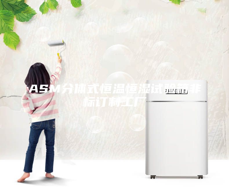 ASM分体式恒温恒湿试验箱非标订制工厂