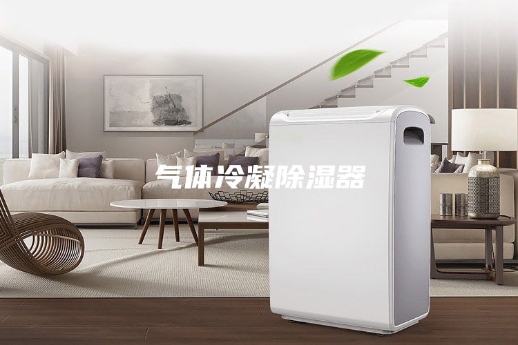 气体冷凝除湿器