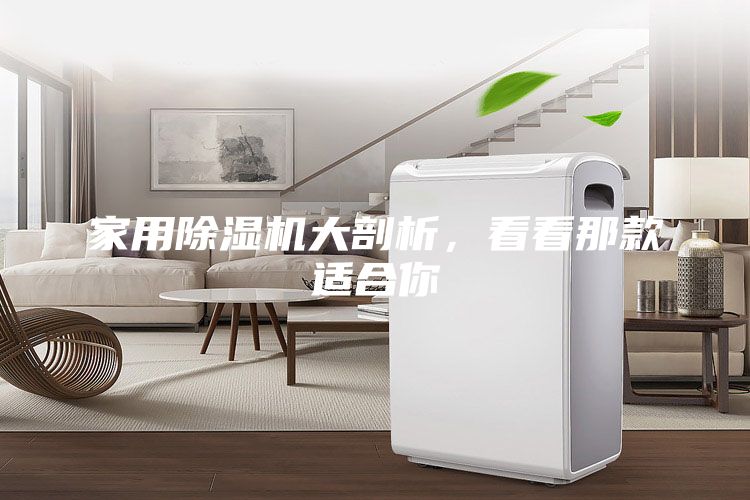 家用除湿机大剖析，看看那款适合你