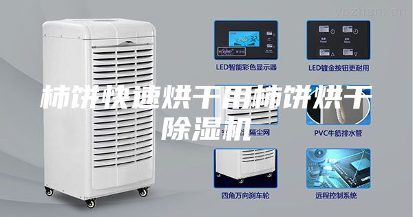 柿饼快速烘干用柿饼烘干除湿机