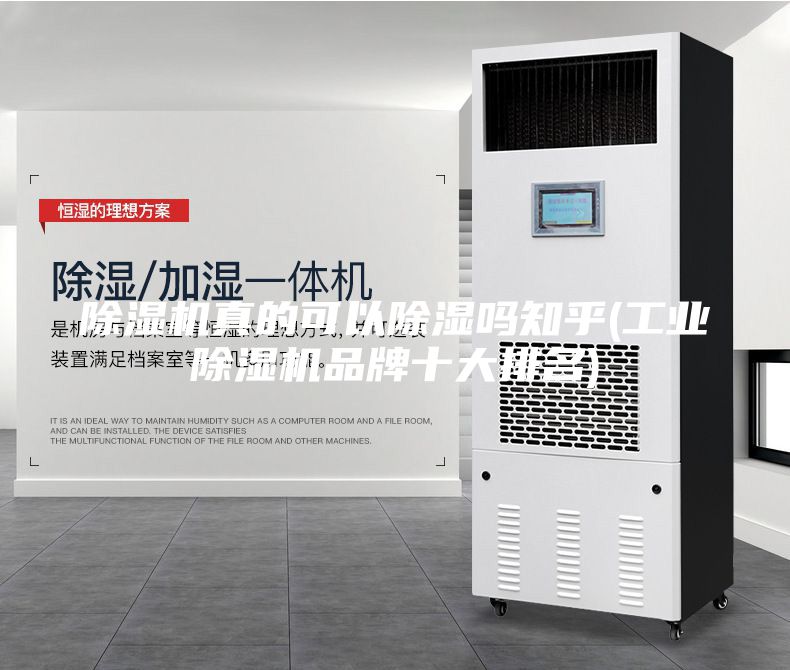 除湿机真的可以除湿吗知乎(工业除湿机品牌十大排名)
