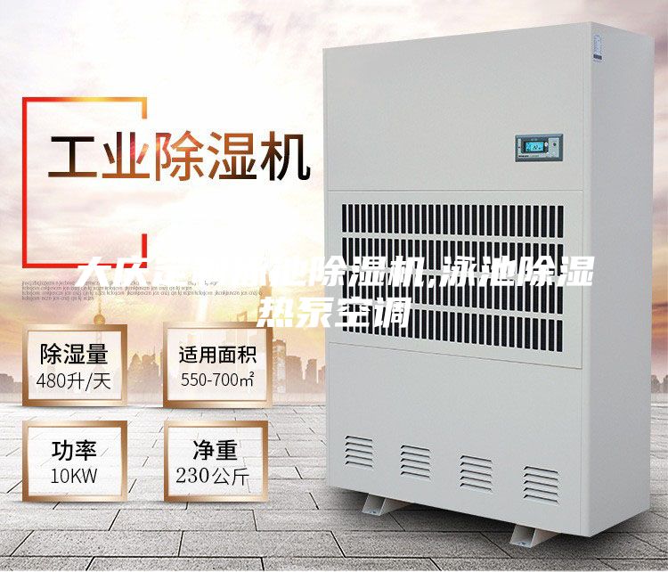 大庆定制泳池除湿机,泳池除湿热泵空调