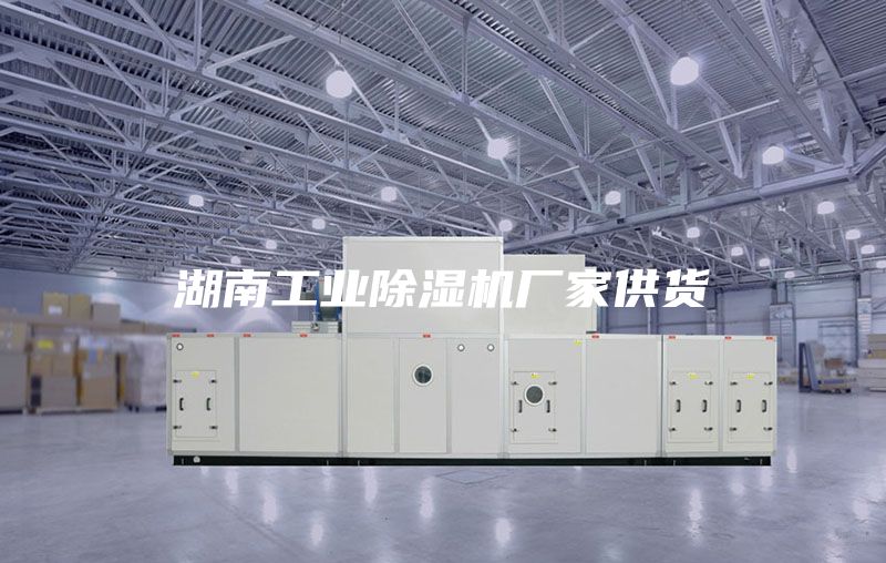 湖南工业除湿机厂家供货