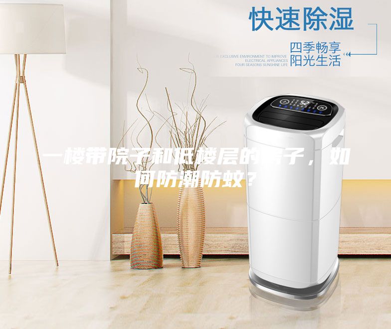 一楼带院子和低楼层的房子，如何防潮防蚊？