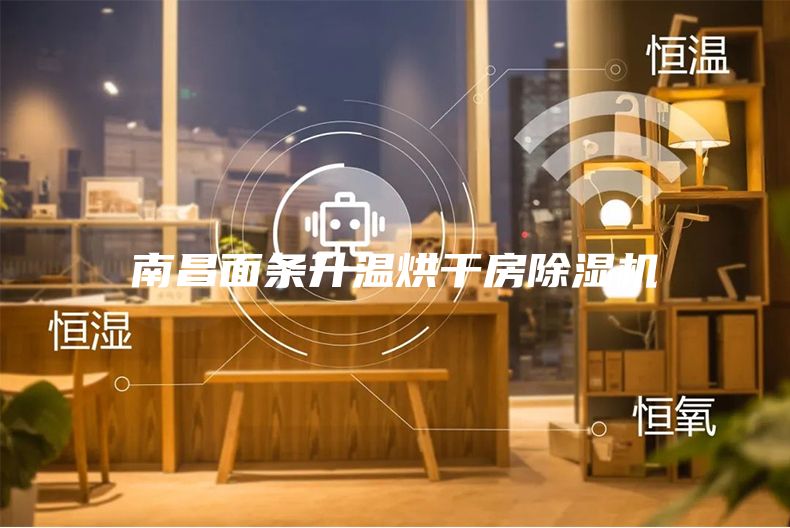 南昌面条升温烘干房除湿机