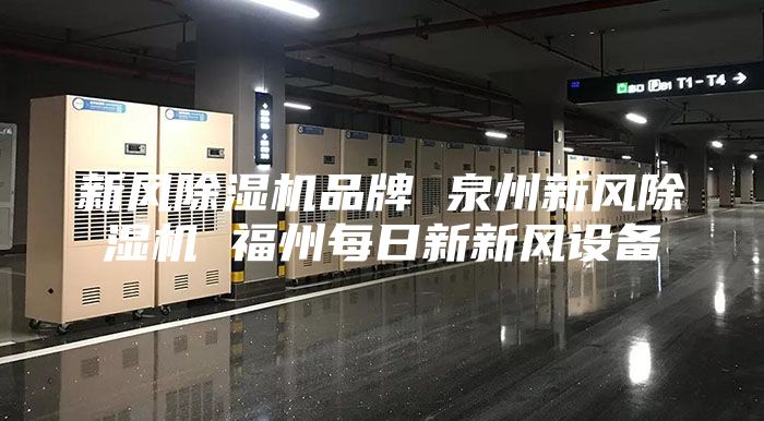 新风除湿机品牌 泉州新风除湿机 福州每日新新风设备