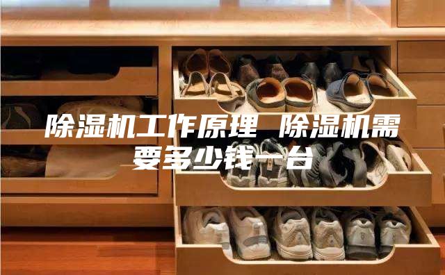 除湿机工作原理 除湿机需要多少钱一台