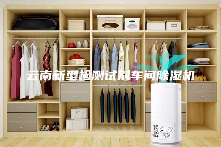 云南新型检测试剂车间除湿机