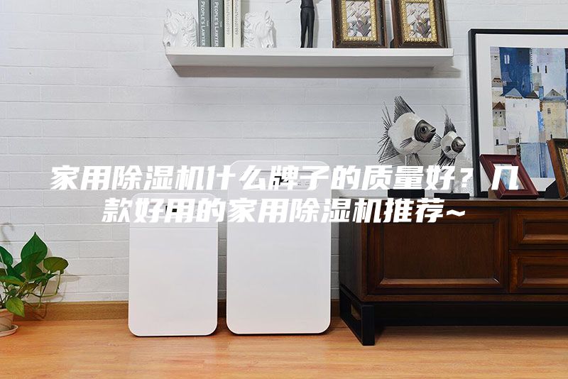 家用除湿机什么牌子的质量好？几款好用的家用除湿机推荐~