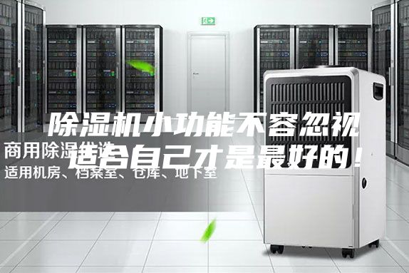 除湿机小功能不容忽视 适合自己才是最好的！