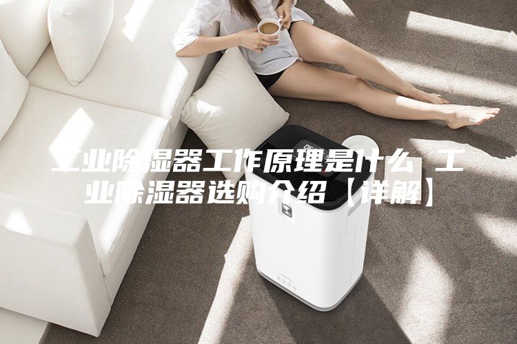 工业除湿器工作原理是什么 工业除湿器选购介绍【详解】