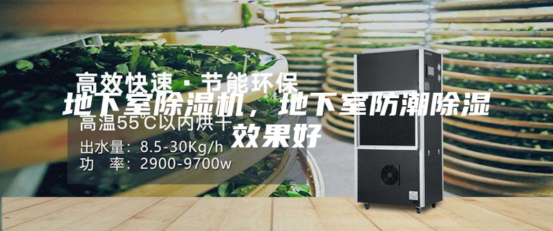 地下室除湿机，地下室防潮除湿效果好