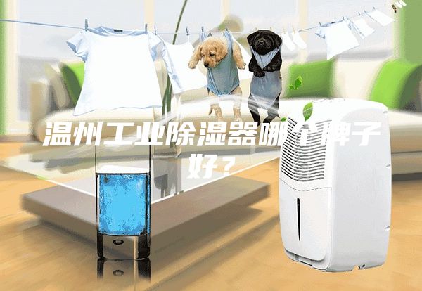 温州工业除湿器哪个牌子好？