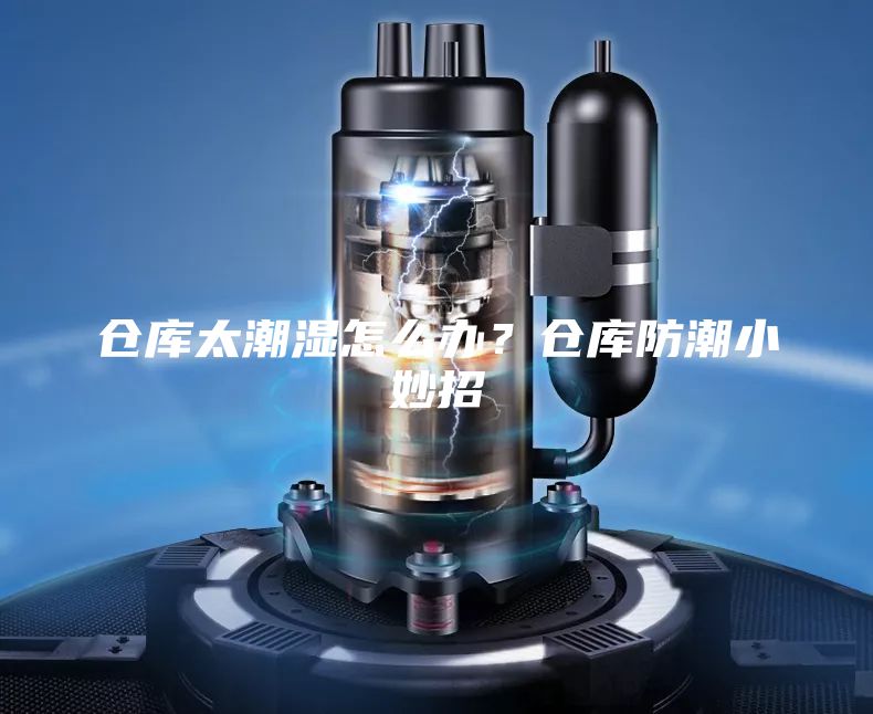 仓库太潮湿怎么办?仓库防潮小妙招