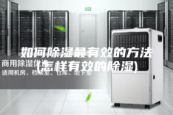 如何除湿最有效的方法(怎样有效的除湿)