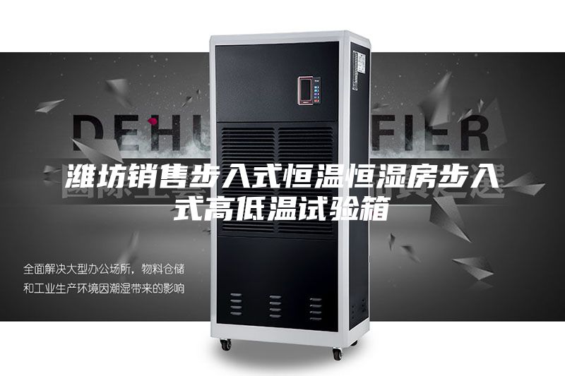 潍坊销售步入式恒温恒湿房步入式高低温试验箱