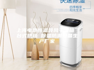 知识百科上海电热恒温鼓风干燥箱 台式烘箱 除湿防潮设备生产厂家