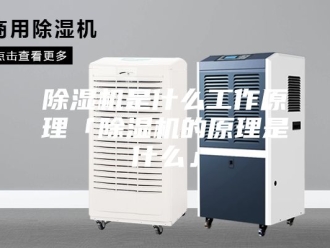 企业新闻除湿机是什么工作原理「除湿机的原理是什么」