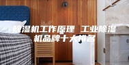 除湿机工作原理 工业除湿机品牌十大排名