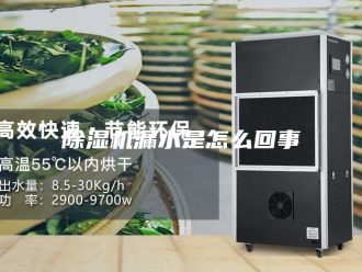 企业新闻除湿机漏水是怎么回事