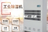 除湿加湿净化一体机