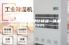 防霾中央新风净化除湿一体机ZGXJ90L