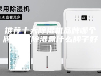 行业新闻推荐十大除湿机品牌哪个牌子好(除湿盒什么牌子好)