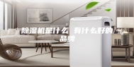除湿机是什么 有什么好的品牌