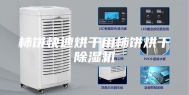 柿饼快速烘干用柿饼烘干除湿机