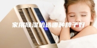 家用除湿机选哪种牌子好