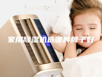 行业新闻家用除湿机选哪种牌子好