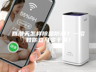 知识百科回潮天怎样除湿防潮？一招教你立马变干爽！
