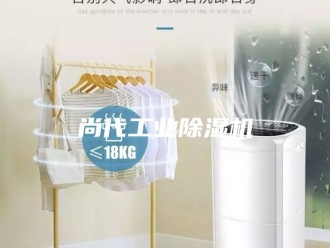行业新闻尚代工业除湿机