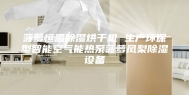 菠萝恒温除湿烘干机 生产环保型智能空气能热泵菠萝凤梨除湿设备