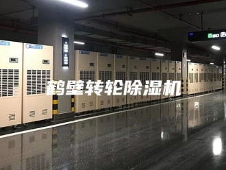 企业新闻鹤壁转轮除湿机