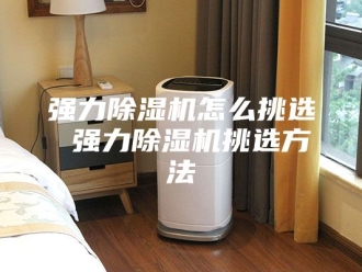 行业新闻强力除湿机怎么挑选 强力除湿机挑选方法