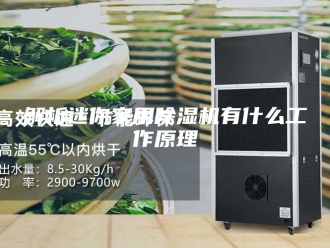 企业新闻解析迷你家用除湿机有什么工作原理