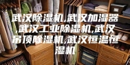 武汉除湿机,武汉加湿器,武汉工业除湿机,武汉吊顶除湿机,武汉恒温恒湿机
