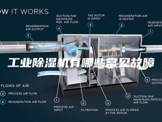 行业新闻工业除湿机有哪些常见故障