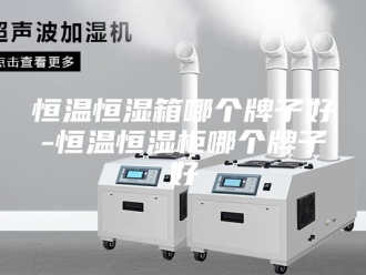 常见问题恒温恒湿箱哪个牌子好-恒温恒湿柜哪个牌子好