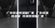 广东恒温恒湿箱厂家 广东恒温恒湿箱 恒温恒湿箱厂家