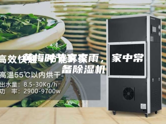 企业新闻黄梅时节家家雨，家中常备除湿机