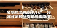吊顶除湿机原理介绍  冷冻式吊顶除湿机除霜原理