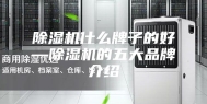 除湿机什么牌子的好—除湿机的五大品牌介绍