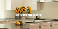 除湿机好用大测评