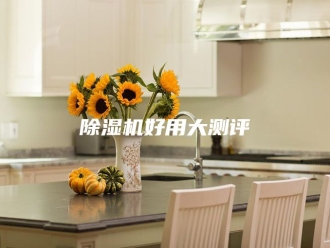 企业新闻除湿机好用大测评