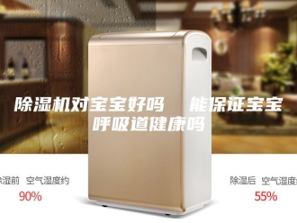 企业新闻除湿机对宝宝好吗  能保证宝宝呼吸道健康吗